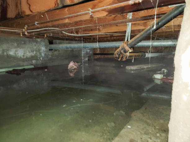 Best Fire Damage Restoration  in Cotulla, TX