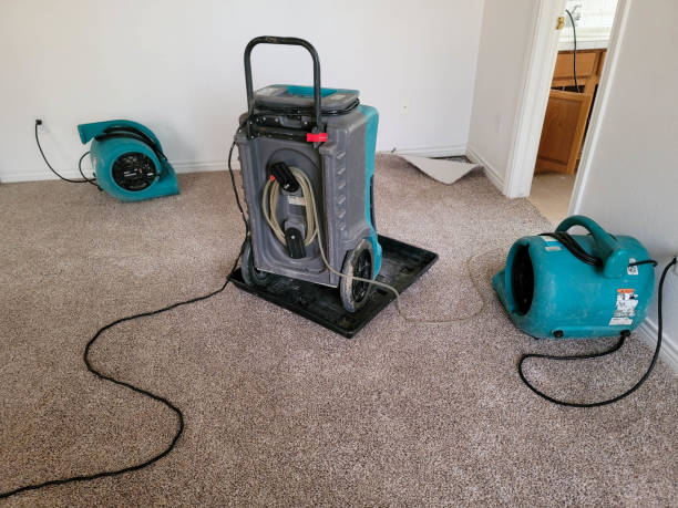  Cotulla, TX Water damage restoration Pros