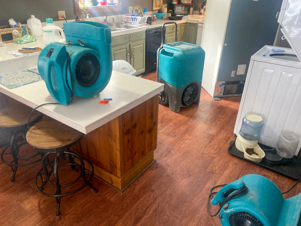 Best Carpet water damage restoration  in Cotulla, TX
