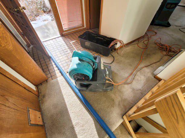 Best Emergency water damage restoration  in Cotulla, TX