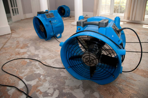 Best Local water damage restoration  in Cotulla, TX