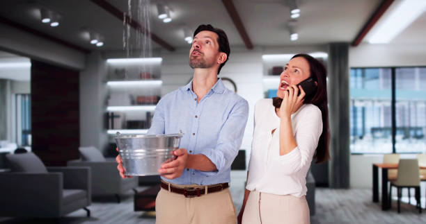 Best Water damage restoration near me  in Cotulla, TX